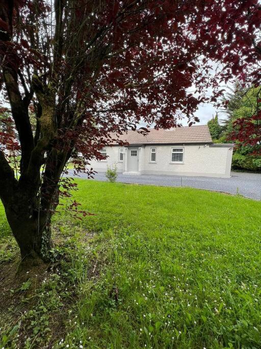 Ballybur Cottage Kilkenny Eksteriør billede